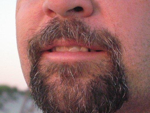 Franks Beard Franks Beard
